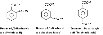 2206_Pthalic acid.png